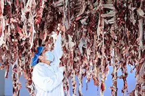 Herdsman Prints: ORDOS, CHINA - JANUARY 6, 2024 - A herdsman dries air-dried meat at an air-dried meat cooperative in Ordos
