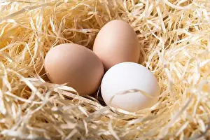 Chicken Egg Prints: Organic chicken eggs in nest closeup. Food photography