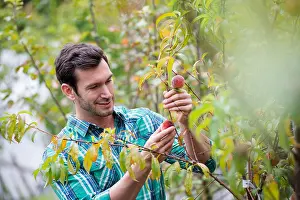 Focusing Prints: An organic flower plant nursery. A man working tending plants