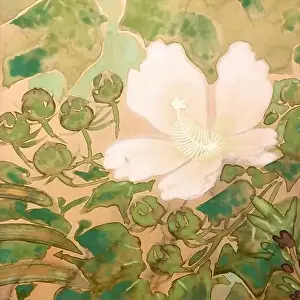 Watercolor Flowers Prints: Oriental floral watercolor design on a textured background