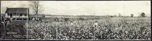 Memphis Prints: Original panoramic photograph entitled