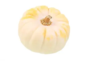Eatable Prints: ornamental pumpkin (Cucurbita pepo convar)