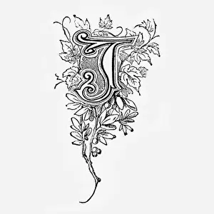Fonts Prints: An ornately decorated letter used as an initial or drop cap at the beginning of a word