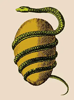 Snake Prints: The Orphic Egg by Artist Jacob Bryant