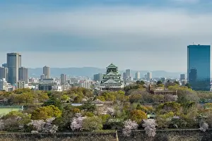 Osaka castle with cherry blossom and center business district in background at Osaka, Japan. Japan spring beautiful scene