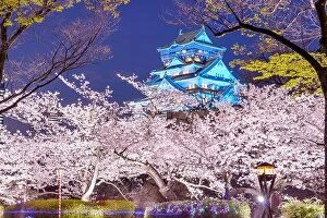 Images Dated 2nd April 2014: Osaka, Japan at Osaka, Castle with cherry blossoms