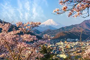Cherry Trees Prints: Otsuki, Japan cityscape with Mt. Fuji in spring season with cherry blossoms