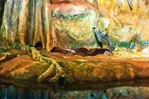 Cute Animal Prints: The otter family is sleeping. An aquarium aviary that imitates a natural habitat