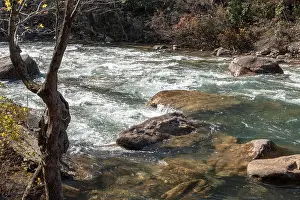 Tennessee Prints: Outdoor photos of creek and trail of Soddy Daisy Tennessee
