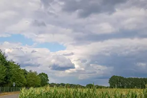 Heavens Prints: Outdoor scenery of cloudy stormy sky over corn field in countryside area