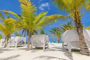 Outside lounging scenic, canopy and chairs relax vacation beach bar blue paradise sky sea and coconut tree in travel easy slow chill refreshment