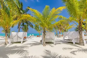 Outside lounging scenic, canopy and chairs relax vacation beach bar blue paradise sky sea and coconut tree in travel easy slow chill refreshment