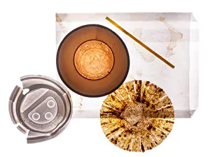 Overhead View Prints: overhead view of empty paper coffee cup