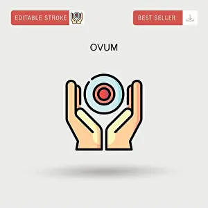 Gynecology Prints: Ovum Simple vector icon
