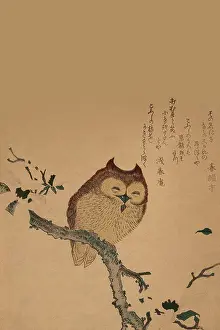 Woodblock Prints: Owl of Branch