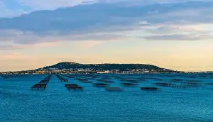 Oyster Prints: Oyster park at the Etang de Thau and Mont Saint Clair, in Occitanie, France