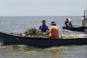 Process Prints: oyster tongers on Apalachicola Bay along North Florida panhandle coast