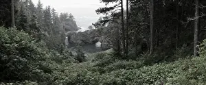 The Pacific Ocean washes against the scenic coastline of southern Oregon. This rugged part of the Pacific Northwest is found along highway 101