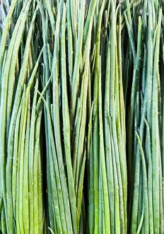 Veggie Prints: Pack of fresh spring onions background texture