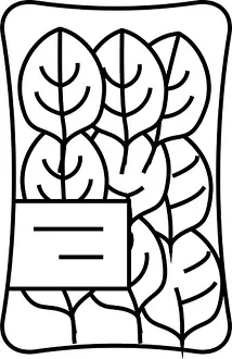 Spinach Prints: pack spinach line icon vector illustration