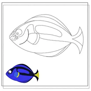 The page of the coloring book, blue fish. Color version and sketch. Coloring book for children. Vector illustration isolated on a white background