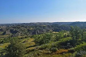 Theodore Prints: Painted Canyon Landscape