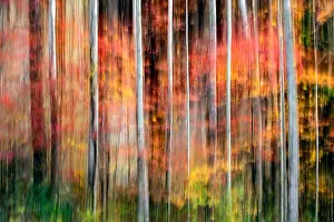 Painterly abstract motion blur of vibrant fall colors in Pisgah National Forest, Brevard, North Carolina, USA