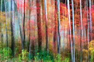 Painterly abstract motion blur of vibrant fall colors in Pisgah National Forest, Brevard, North Carolina, USA
