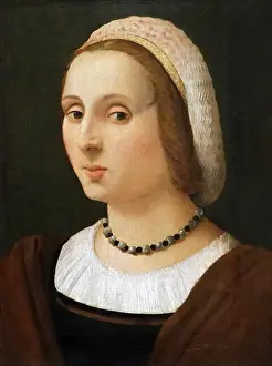 Painting titled Portrait of a Lady by Vincenzo Tamagni (1492-1516) Italian painter of the Renaissance