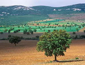 Toledo Prints: Paisajes de la natauraleza en el Parque Nacional de Cabañeros en la provincia de Ciudad Real