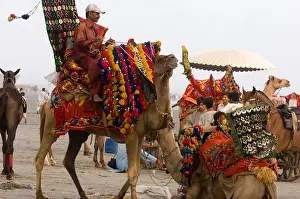 Sindh Prints: Pakistanis enjoying the camels and the sea on Clifton beach Karachi Pakistan