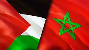Travel Background Prints: Palestine and Morocco flags. 3D Waving flag design