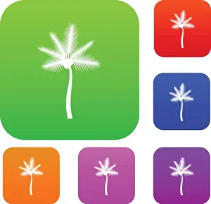 Seedling Prints: Palm butia capitata set collection