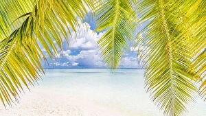 Images Dated 21st December 2015: Palm and sea with sky. Tropical beach banner. Tranquil scenery, relaxing beach