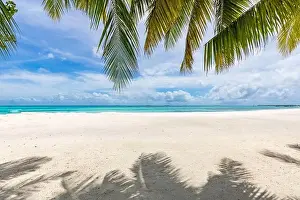 Palm tree leaves over luxury beach. Perfect tropical white sand beach with coconut palm, summer vacation holiday background concept