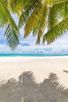 Palm tree leaves over luxury beach. Perfect tropical white sand beach with coconut palm, summer vacation holiday background concept