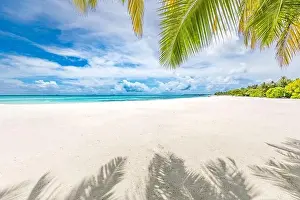 Palm tree leaves over luxury beach. Perfect tropical white sand beach with coconut palm, summer vacation holiday background concept