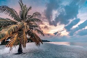 Images Dated 14th December 2018: Palm tree silhouette on a background of tropical sunset. Sea sand sky concept