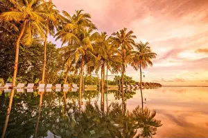 Careless Prints: Palm trees chairs around infinity swimming pool near sea ocean beach at sunrise or sunset time