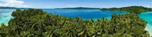 Palm trees grow on a scenic tropical island off the coast of West Papua, Indonesia. This remote part of Indonesia is known for its high biodiversity