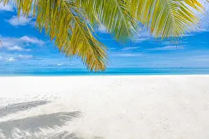 Tropical Nature Prints: Palm and tropical beach, peaceful tranquil nature landscape