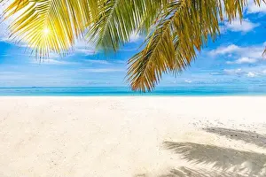 Palm and tropical beach, peaceful tranquil nature landscape. Seascape, white sand close to sea under blue sky. Amazing summer landscape