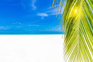 Palm and tropical beach, peaceful tranquil nature landscape. Seascape, white sand close to sea under blue sky. Amazing summer landscape