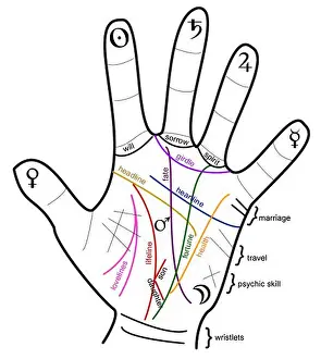 Destiny Prints: palmistry future hand reading fate palm fortune illustration