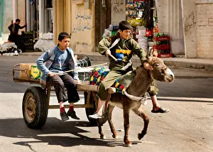 Donkey Prints: Palmyra new town city Syria Syrian Young boy boys donkey cart car