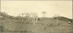 Bookyear1913 Prints: Panama and the canal in picture and prose