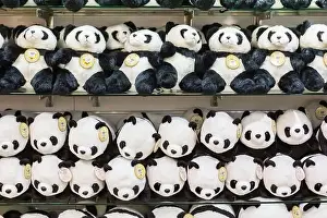 Panda Prints: Panda stuffed toys at the Taipei Zoo Giant Panda House in Taiwan