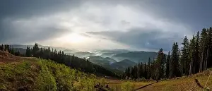 Low Clouds Prints: Panorama on cold cloudy weather over low hills covered with spruce evergreen forests in Rhodope Mountains against