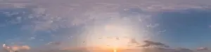 Panorama of a dark blue evening sky with pink Cirrus clouds