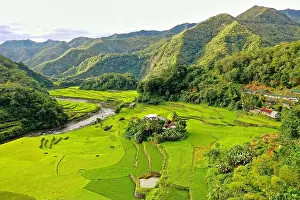 Philippine Prints: Panorama drone shot over the rice terraces of Banaue in the Philippines
